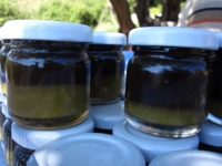 Defne Yağının Özellikleri ve Faydaları Nelerdir?